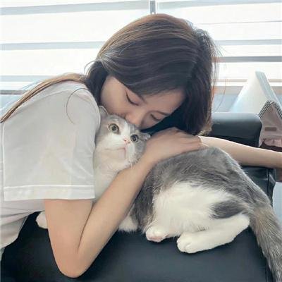 探案新窍门 第四季